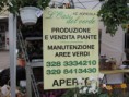 /album/galleria-foto-prodotti/a010-jpg/
